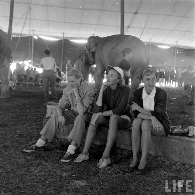 Circus Girls, 1949