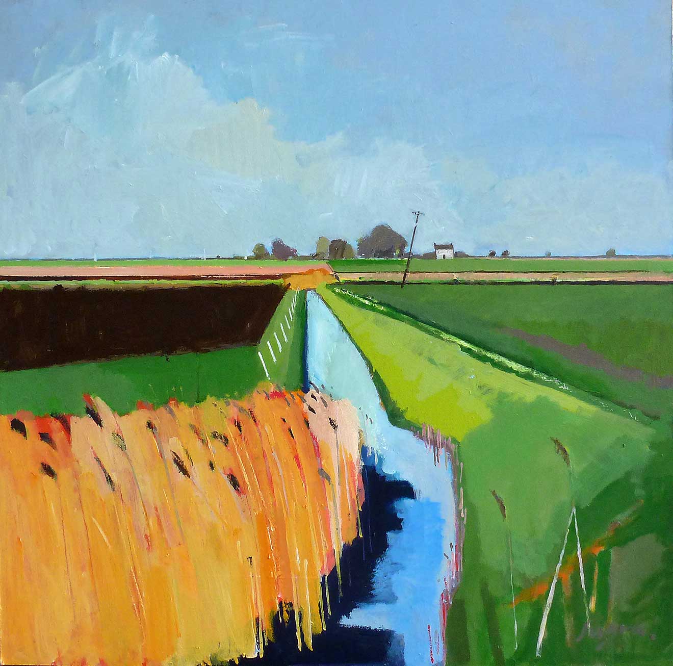Paintings of the Fens