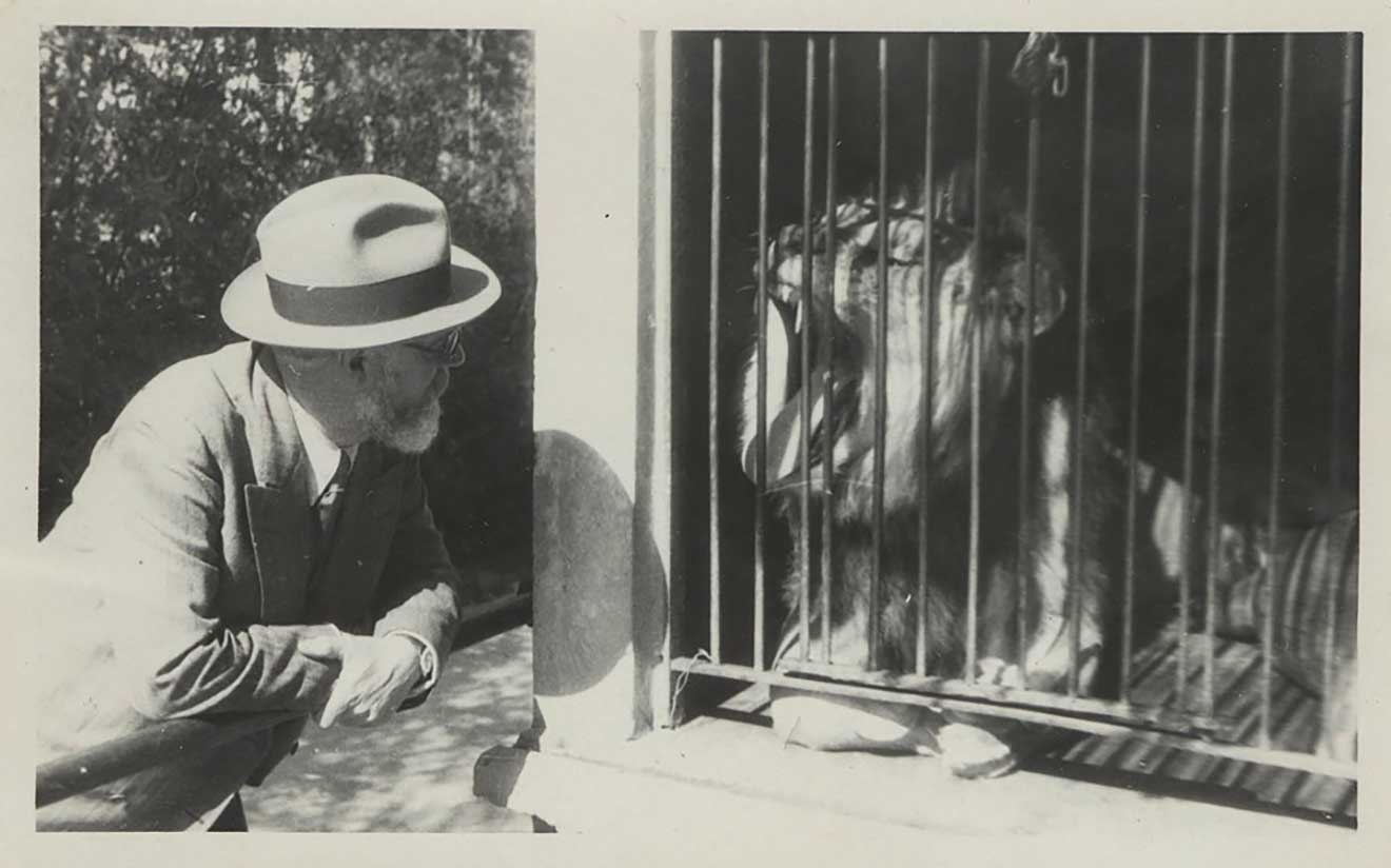 Matisse: Animal Lover