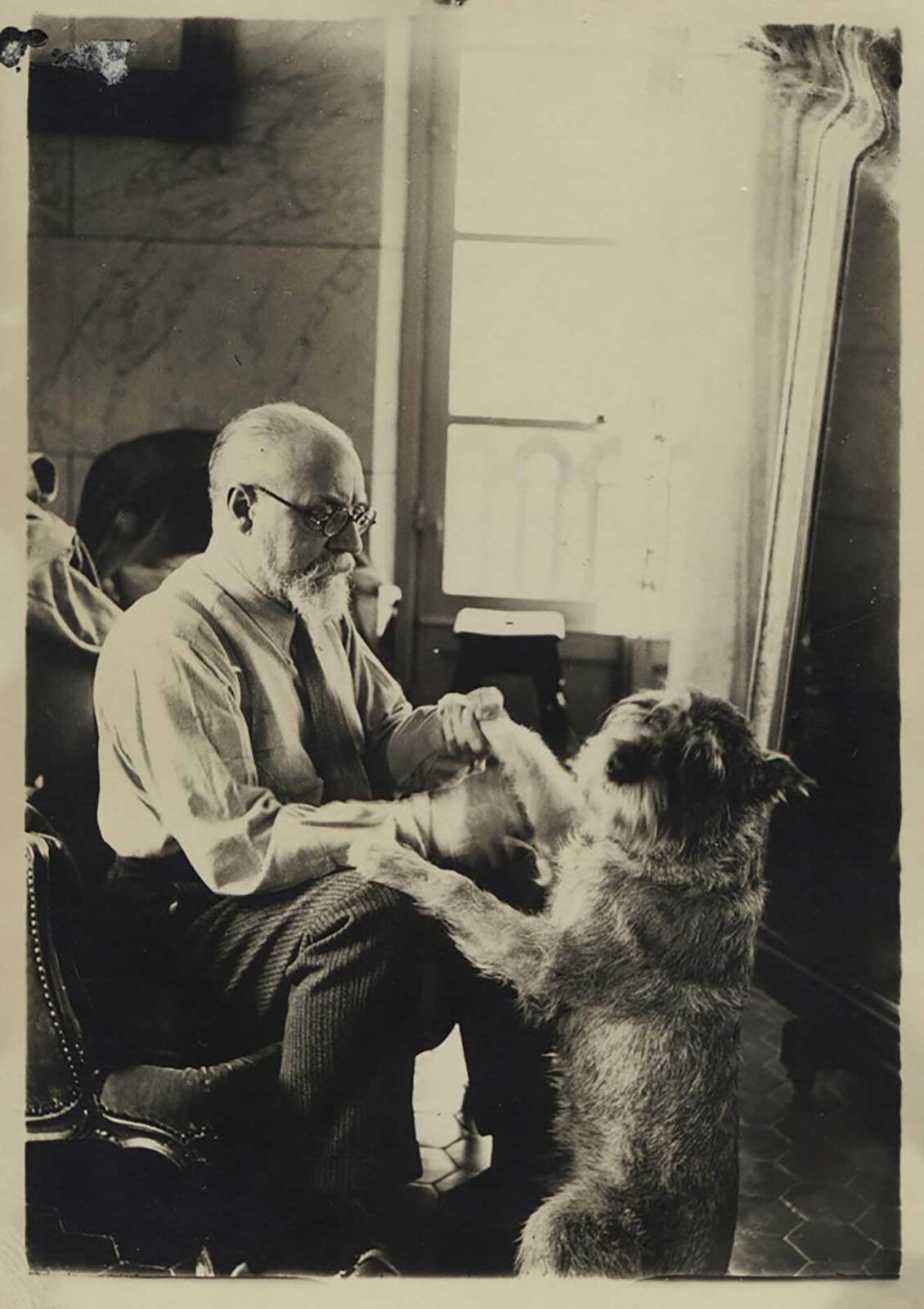 Matisse: Animal Lover