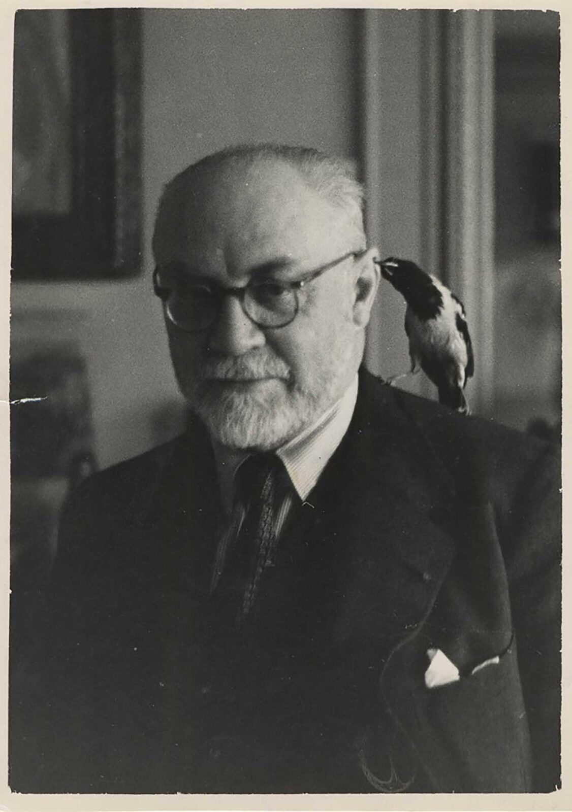 Matisse: Animal Lover