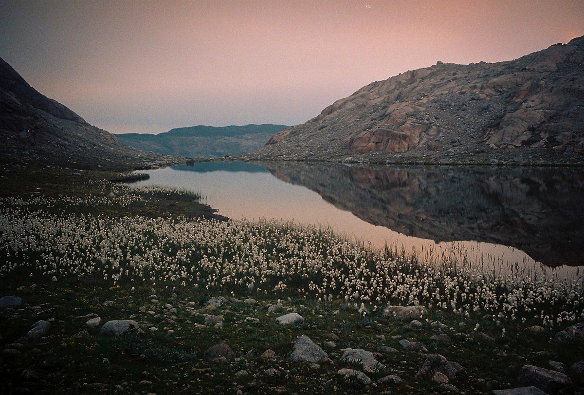 Carmen Marchena: Greenland
