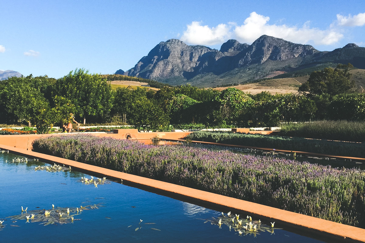 A stay at Babylonstoren