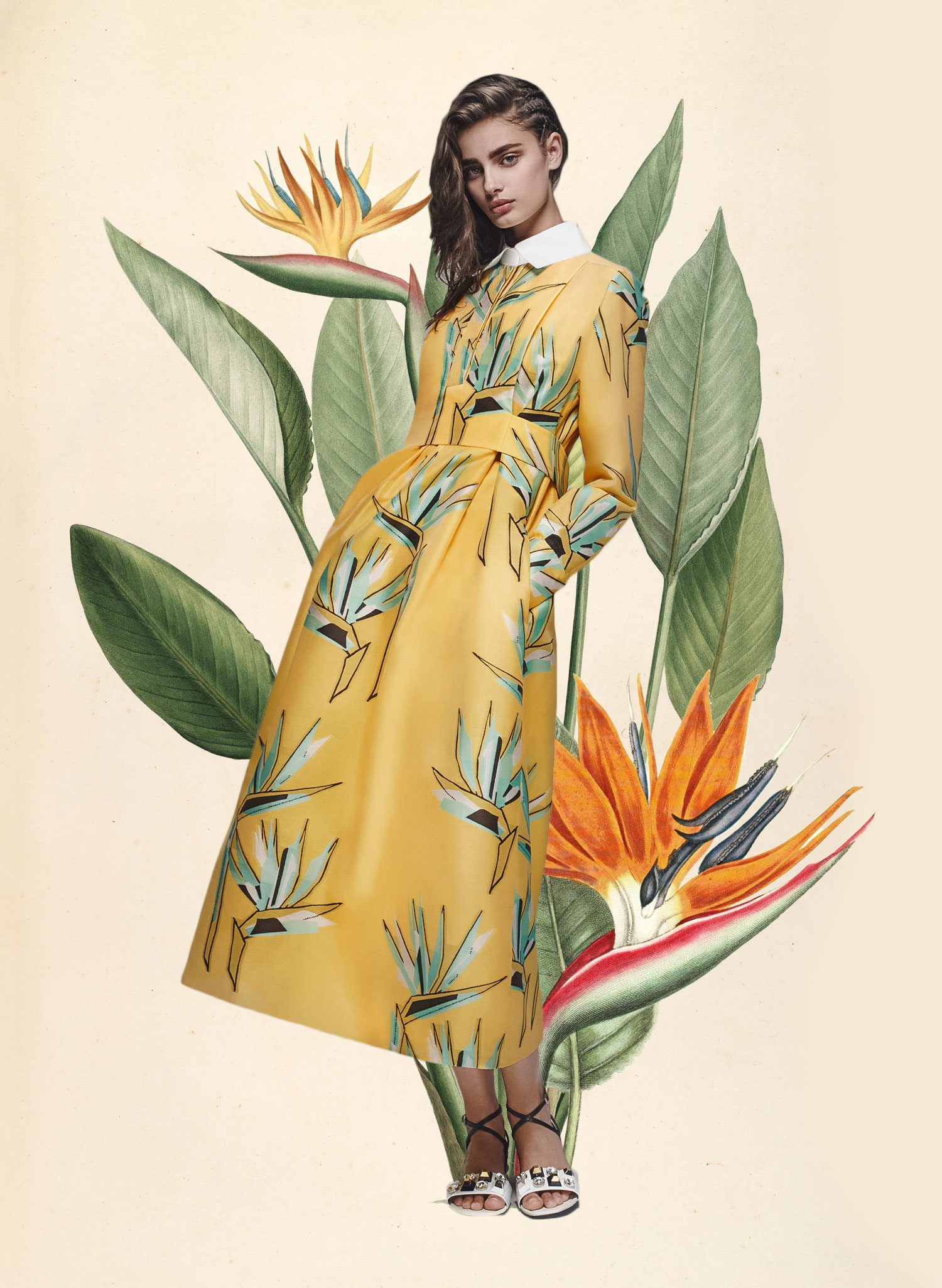 Miss Moss: Botanical Resort. Colour Mash Ups of Resort 2016 x Vintage Botanical Illustrations