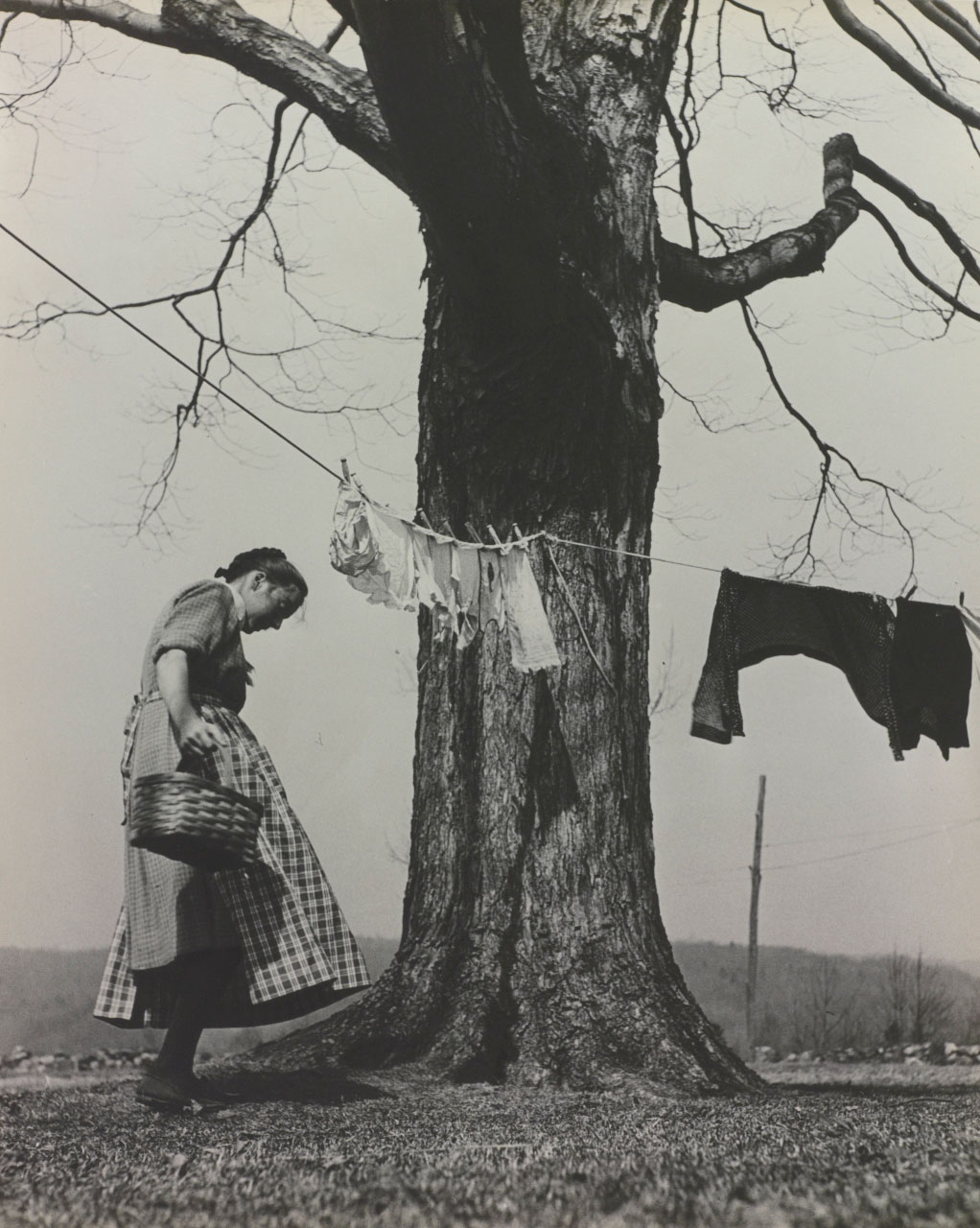 Nell Dorr: Mother & Child, featuring Tasha Tudor