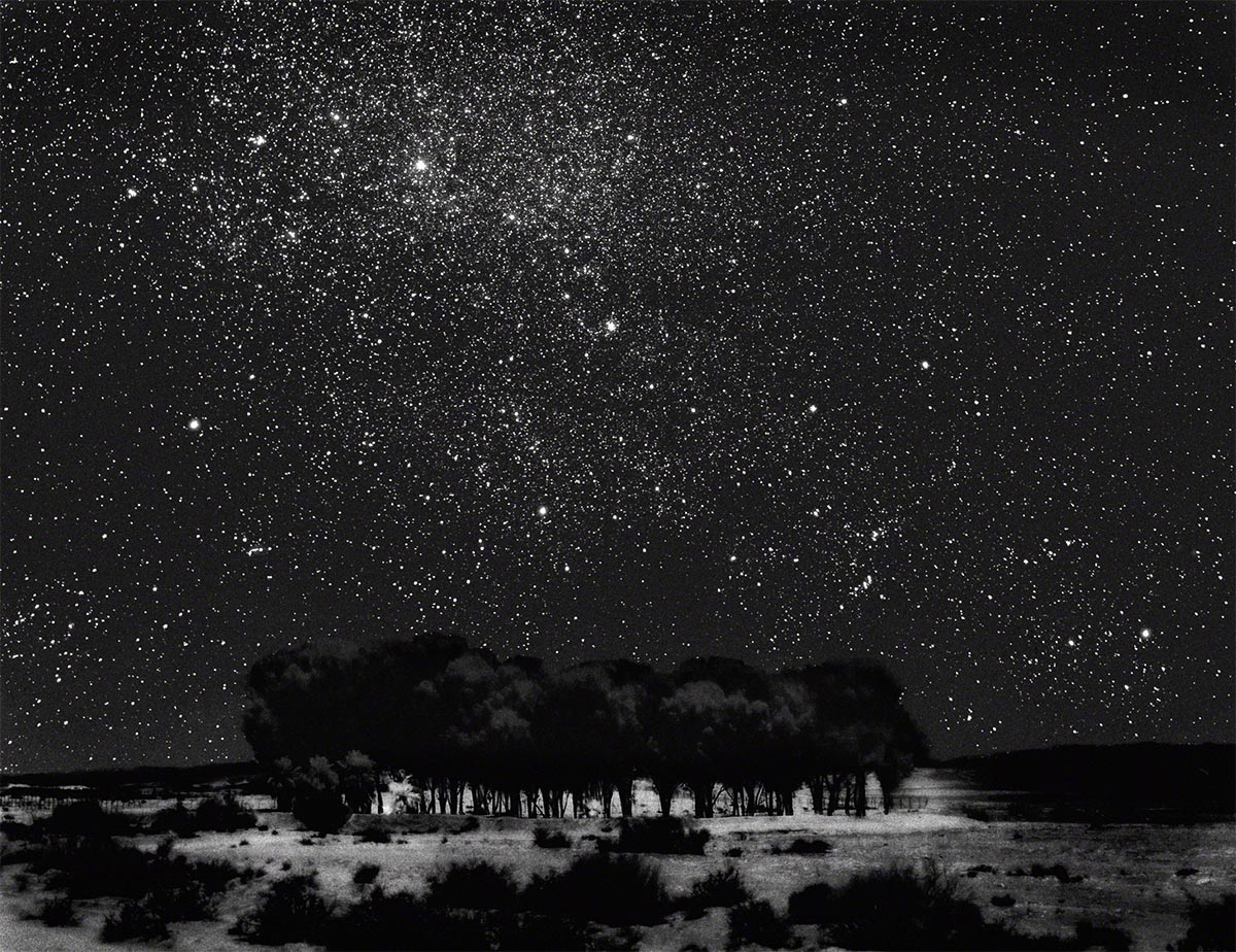 NEIL FOLBERG, Starry Grove, 1999